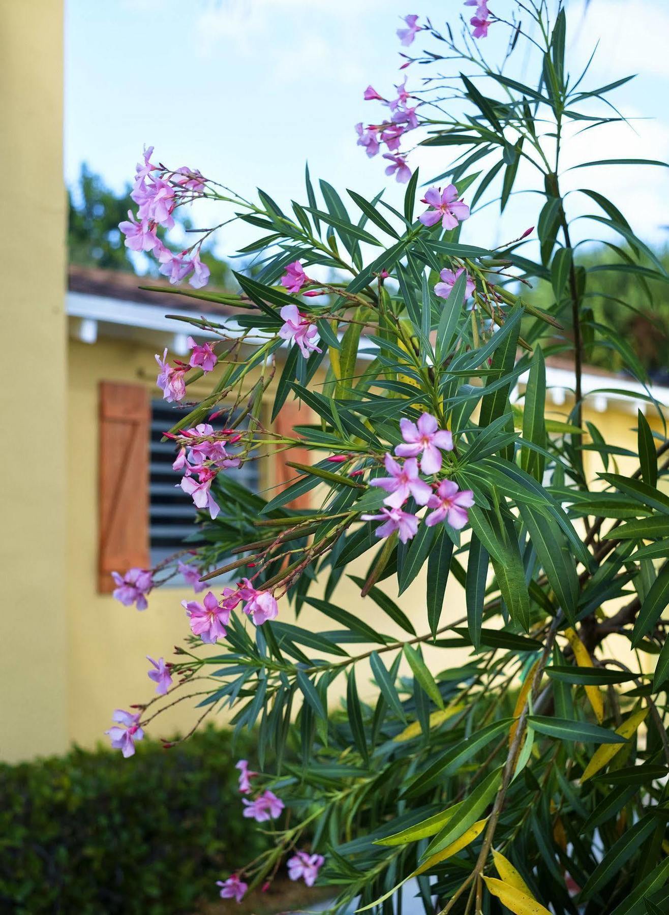 Hotel Atlantic Hideaway Delray Beach Exterior foto